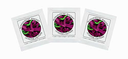 Joghurtferment für Acidophilus-Joghurt – 3 Beutel gefriergetrockneter Starterkulturen Joghurtferment für Acidophilus-Joghurt – 3 Beutel gefriergetrockneter Starterkulturen von Natural Probiotic Selection