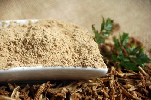 Naturix24 – Angelikawurzel chinesisch gemahlen – 500 g Beutel Naturix24 – Angelikawurzel chinesisch gemahlen – 500 g Beutel von Naturix24