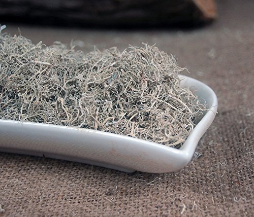 Naturix24 – Bartflechte geschnitten – 250g Beutel Naturix24 – Bartflechte geschnitten – 250g Beutel von Naturix24