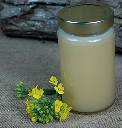 Naturix24 - Deutscher Rapshonig 500g - Imkerabfüllung - Naturix24 - Deutscher Rapshonig 500g - Imkerabfüllung - von Naturix24