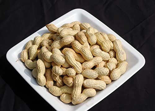 Naturix24 – Erdnüsse in der Schale nicht geröstet – 1 Kg Beutel von Naturix24