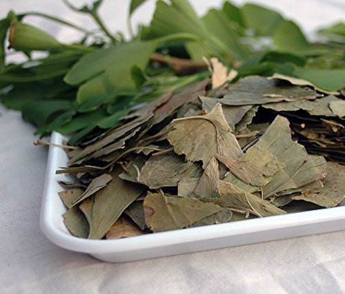 Naturix24 – Ginkgoblättertee, Ginkgoblätter ganz – 100g-Beutel von Naturix24