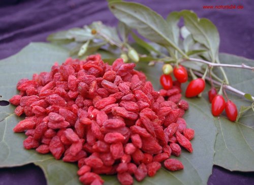Naturix24 – Gojibeeren getrocknet – 100 g Aromaschutzbeutel Naturix24 – Gojibeeren getrocknet – 100 g Aromaschutzbeutel von Naturix24