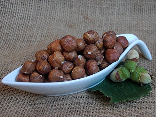 Naturix24 – Haselnusskerne – 250 g Beutel Naturix24 – Haselnusskerne – 250 g Beutel von Naturix24