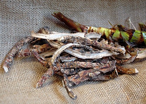 Naturix24 – Kalmuswurzel ganz – 500g Beutel Naturix24 – Kalmuswurzel ganz – 500g Beutel von Naturix24