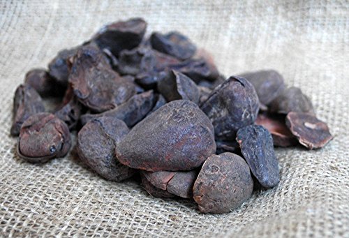 Naturix24 – Kolanuss, Kolanüsse ganz – 100g Beutel Naturix24 – Kolanuss, Kolanüsse ganz – 100g Beutel von Naturix24