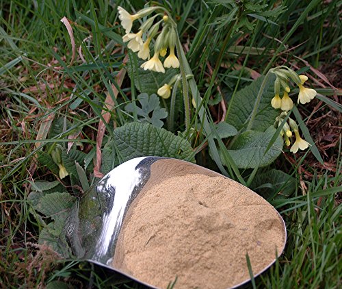 Naturix24 – Schlüsselblumenpulver, Schlüsselblumenblüten gemahlen – 100g-Beutel von Naturix24
