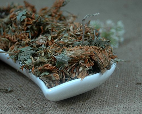 Naturix24 – Weißkleeblütentee, Weißkleeblüten ganz – 250g-Beutel Naturix24 – Weißkleeblütentee, Weißkleeblüten ganz – 250g-Beutel von Naturix24