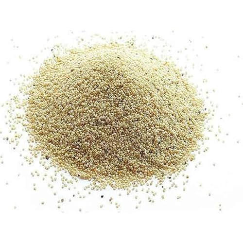 Neel Ayurvedics Khas Khas Beej | Khas Khas Khas Samen - 250 g von Neel Ayurvedics
