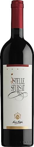 Sforzato di Valtellina DOCG Sfursat 5 Stelle Nino Negri 2020 0,75 ℓ Sforzato di Valtellina DOCG Sfursat 5 Stelle Nino Negri 2020 0,75 ℓ von Nino Negri
