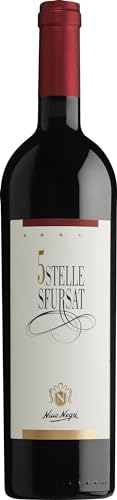 Nino Negri Sfursat 5 Stelle Sforzato di Valtellina DOCG (1 x 0.75 l) Nino Negri Sfursat 5 Stelle Sforzato di Valtellina DOCG (1 x 0.75 l) von Nino Negri