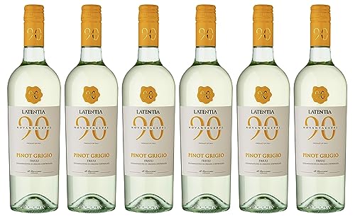 Novantaceppi Pinot Grigio Friuli DOC trocken (6 x 0.75 l) von Novantaceppi