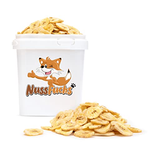 Bananenchips 1,5kg im Behälter–getrocknete Bananenchips in feinem Kokosöl geröstet–ungesüßt vegan naturbelassen ohne Zuckerzusatz–frittierte Bananenscheiben knusprig & knackig zum Snacken–NussFuchs von NussFuchs