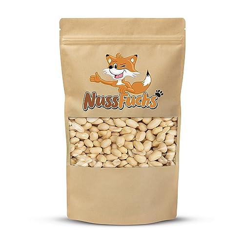 Erdnüsse naturbelassen 1kg - ungesalzen & ungeröstet - knackige Erdnüsse ohne Salz & ohne Öl - ohne Schale & ohne Haut - ganze Kerne blanchiert - Erdrnüsse Natur - NussFuchs (1kg Beutel) von NussFuchs