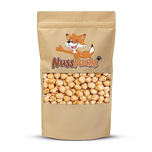 Haselnüsse geröstet 1kg Haselnusskerne geröstet & ungesalzen ganze Kerne ohne Schale blanchiert ohne Haut knackige Haselnusskerne ideal als Snack ganze Haselnusskerne aus der Türkei -NussFuchs von NussFuchs