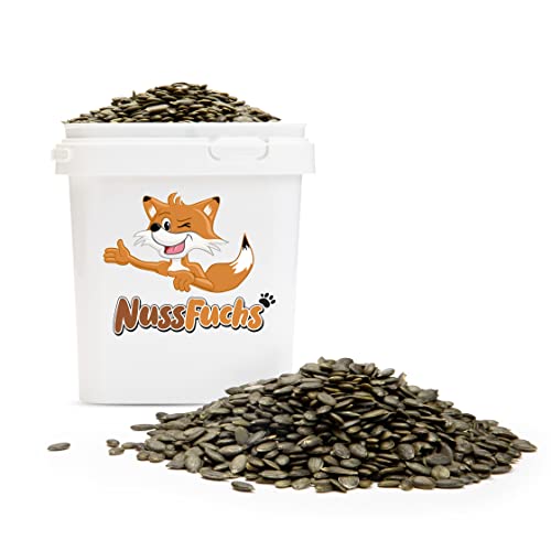 Kürbiskerne geschält im Eimer - 3,5kg - knackige Kürbiskerne grün schalenlos zum Knabbern ungesalzen ungeröstet naturbelassen Kürbis Kerne roh ohne Schale - 100% vegan in Rohkostqualität (3,5kg) von NussFuchs