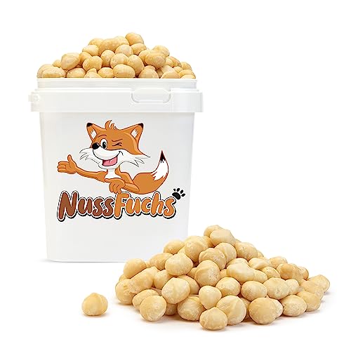 Macadamia Nüsse 1,5kg – Macadamianüsse ungeröstet & ungesalzen – ganze Macadamia Nusskerne roh ungesalzen naturbelassen unbehandelt – knackige Macadamia Nüsse in Rohkostqualität - NussFuchs (1,5kg) von NussFuchs