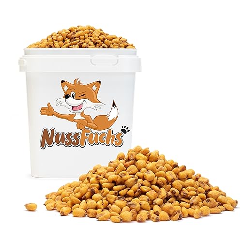 Maiskörner geröstet 1kg-3,5kg - geröstet & gesalzen - knackige Mais Körner mit Salz knuspriger Snack - Röstaroma - im praktischen Standbeutel oder im Eimer - NussFuchs (1kg im Eimer) von NussFuchs