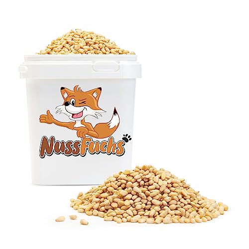 Pinienkerne 3,5kg ganze Pinienkerne geschält - unbehandelt & naturbelassen ungeröstet & ungesalzen 100% natürlich ohne Gentechnik vegan - ideal als Topping oder zum Backen - NussFuchs (3,5kg) von NussFuchs