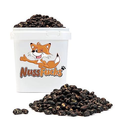 Sojabohnen 1kg - schwarze Sojabohnen geröstet & gesalzen vegan glutenfrei ohne Zusätze schwarze Edamame Bohnen ohne Fett geröstet knuspriger Snack für zwischendurch NussFuchs (1kg im Behälter) von NussFuchs