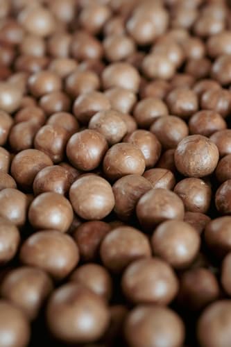 1 kg Macadamianüsse in Schale, ungeröstet, naturbelassen, Top-Qualität, günstiger Preis 1 kg Macadamianüsse in Schale, ungeröstet, naturbelassen, Top-Qualität, günstiger Preis von NutQueen