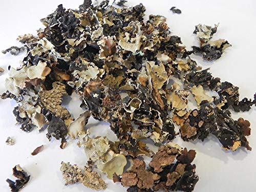 Ganze getrocknete Gewürze zum Kochen, Backen, Kräuter und Gewürze Masala-Gewürz, indische arabische Whole (schwarze Steinblumen) von ODIPPO
