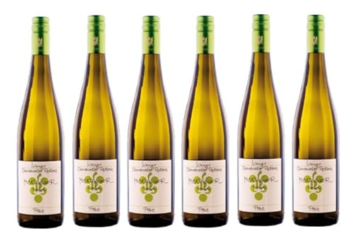 6x 0,75l - 2023er - Ökonomierat Rebholz - Muskateller - Qualitätswein Pfalz - Deutschland - Weißwein trocken von Ökonomierat Rebholz