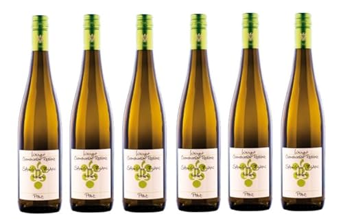6x 0,75l - 2023er - Ökonomierat Rebholz - Sauvignon Blanc - Qualitätswein Pfalz - Deutschland - Weißwein trocken von Ökonomierat Rebholz
