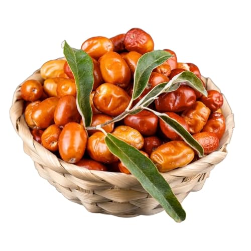 Öz Natur | Silberbeere 600g | Elaeagnus angustifolia | Naturbelassene Früchte | Ohne Zuckerzusatz | Getrocknet | Handverlesen | Vegan Öz Natur | Silberbeere 600g | Elaeagnus angustifolia | Naturbelassene Früchte | Ohne Zuckerzusatz | Getrocknet | Handverlesen | Vegan von Öz Natur