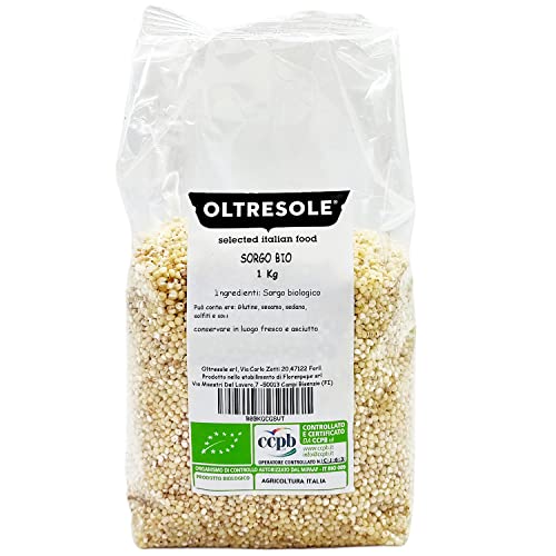 Oltresole - Bio-Quinoa-Mehl Glutenfrei 1 Kg - Für alle Verbraucher geeignet, GMO-frei, ideal für Zöliakiebetroffene von OLTRESOLE