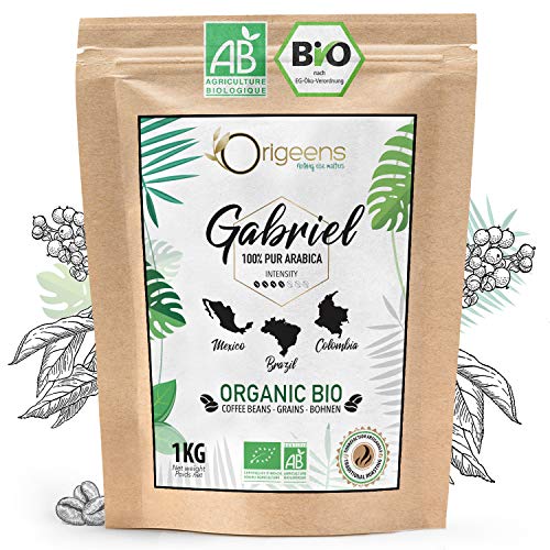 ORIGEENS BIO Kaffeebohnen 1kg | Biologische Arabica Kaffee Ganze Bohnen | Säurearm | Traditionelle Röstung | Gabriel von Origeens