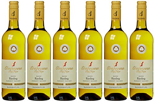 Oberbergener Baßgeige Riesling trocken Kabinett, 6x0.75l I Ideal zu Meeresfrüchten I Grünem Apfel/Zitrus I 3-4 Jahre Lagerdauer von Oberbergener Baßgeige