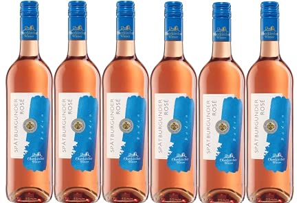 Oberkircher Winzer Frühlings-und Sommerweine Spätburgunder Rosé QW trocken (6 x 0,75L) von Oberkircher Winzer