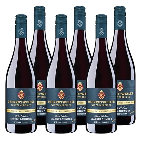 Oberrotweiler Spätburgunder Spätlese trocken ALTE REBEN – 90 Punkte Falstaff 2024 – Rotwein trocken kraftvoll & saftig mit Kirsche, Beerenfrüchten & würziger Note (6 x 0,75 l) von Oberrotweiler Winzerverein eG