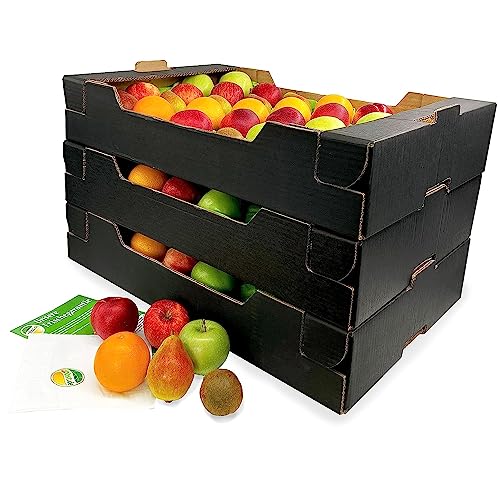 Obstzeit Teambox von Obst.de