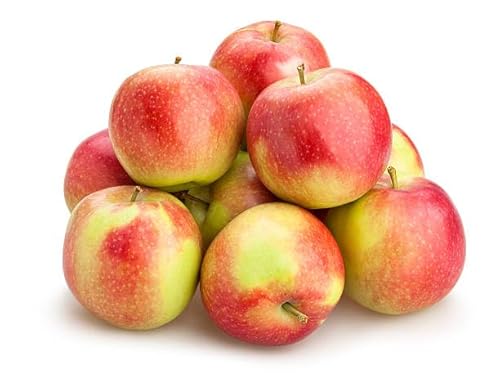 Ganio Frische Äpfel Braeburn Elstar 3 kg aus Deutschland | Obst Frisch, saftig & knackig | Süße rote Äpfel | Lieferung plastikfrei, schnell & schonend aus Ostfriesland von Obst