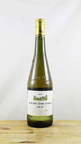Wein Jahrgang 2013 Muscadet Sèvre et Maine Sur lie Monsablé Flasche Wein Jahrgang 2013 Muscadet Sèvre et Maine Sur lie Monsablé Flasche von OccasionVin