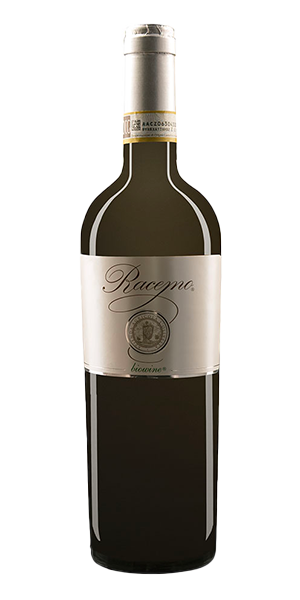 "Racemo Bianco" Frascati Superiore DOCG 2023 "Racemo Bianco" Frascati Superiore DOCG 2023 von Olivella