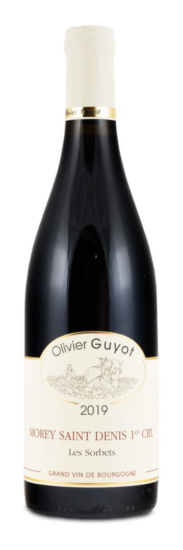 2019 Morey Saint Denis Premier Cru AC "Les Sorbets" von Olivier Guyot