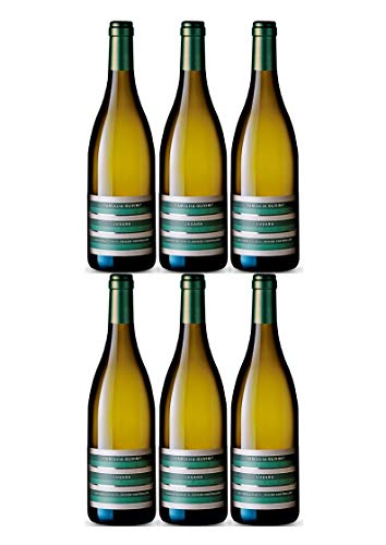 Olivini Lugana D.O.C. 2024 (6 x 0,75 l) von Olivini
