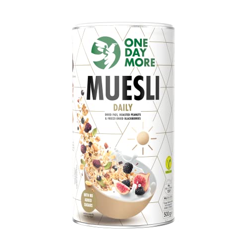 OneDayMore Täglich Müsli Muesli Daily | 500g Für Jeden Tag Musli Haferflocken Fit Frühstück | Muesli Gesunde mit Datteln Brombeeren Feigen | Viele Früchte Snack Aus 100% Natürlichen Zutaten von OneDayMore