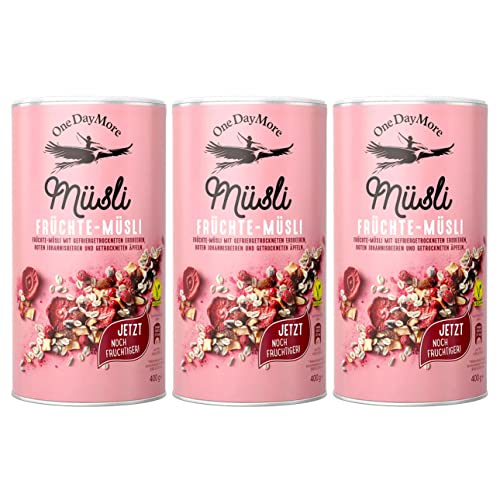 OneDayMore Früchte Müsli | 1200g Vegan Musli Viele Früchte | Haferflocken Frühstück 100% Natürlich Muesli | Zuckerfrei Gesunde Fit Essen Haferflocken mit Apfel Erdbeeren Datteln | 3-pack von OneDayMore