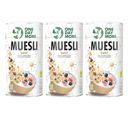 OneDayMore Täglich Müsli Muesli Daily | 1500g Musli Für Jeden Tag Haferflocken Fit Frühstück | Muesli Gesunde mit Datteln Brombeeren Feigen | Viele Früchte Snack Aus 100% Natürlichen Zutaten | 3-pack von OneDayMore