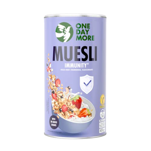 OneDayMore Müsli für das Immunsystem | 400g ohne Zucker Viele Früchte Muesli | Essen Snack Aus 100% Natürlichen Zutaten | Zuckerfrei Fit Haferflocken mit Apfel Erdbeeren von OneDayMore