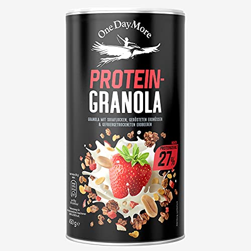 OneDayMore Protein Granola | 450g Viele Früchte Haferflocken Müsli | Vegan Fit Muesli Essen 27,3g Eiweiss Frühstück 100% Natürlich | Kakao Erdbeeren Ohne Zucker Musli von OneDayMore