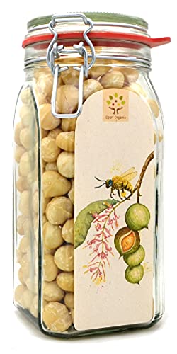 Bio-Macadamianüsse 800g im Glas, naturbelassen aus kleinbäuerlicher Landwirtschaft am Mount Kenya Bio-Macadamianüsse 800g im Glas, naturbelassen aus kleinbäuerlicher Landwirtschaft am Mount Kenya von Open Organic