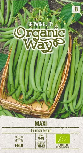 Organic Way | BUSCHBOHNEN MAXI samen | Gemüsesamen | Bohnensamen | Garten Samen | Die Sorte der frühen Bohnen | 1 Pack Organic Way | BUSCHBOHNEN MAXI samen | Gemüsesamen | Bohnensamen | Garten Samen | Die Sorte der frühen Bohnen | 1 Pack von Organic Way