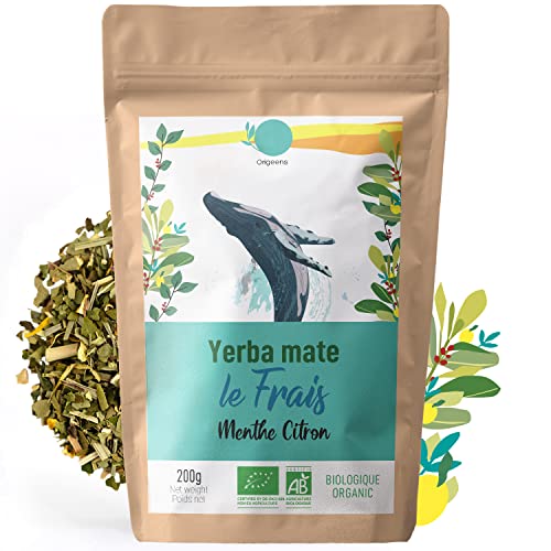 ORIGEENS BIO YERBA MATE MIT MINZE UND ZITRONE 200 g - Der Frische I Bio Yerba Mate Ungeröstet, Blätter, Frei von Stängeln und Staub I Energie- und Detoxgetränk von Origeens