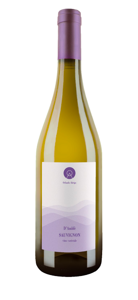 "D'Amblé" Sauvignon Langhe DOC 2021 von Orlando Abrigo