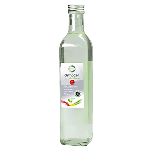 OrthoCell AG Sana Balance H+ Lösung (1000ml) - Still - Wasser - Flasche von OrthoCell AG
